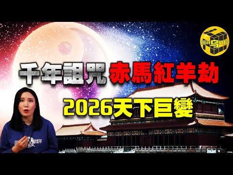 高志丹局长,宣布,今年全国青,世界杯小组赛,2026世界杯,小组赛分析,赛程安排,分组情况